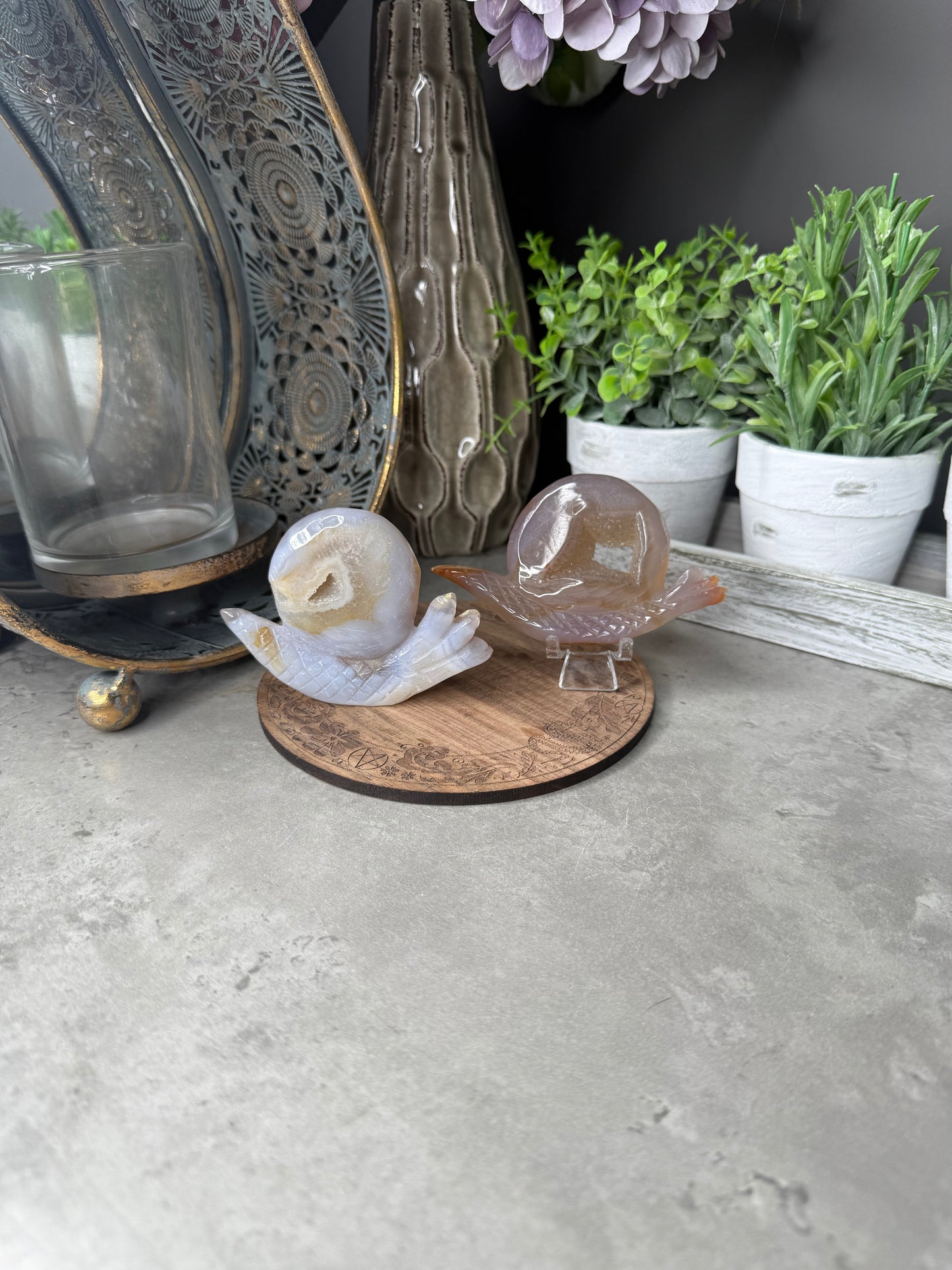Druzy Agate Snails Crystal Carvings