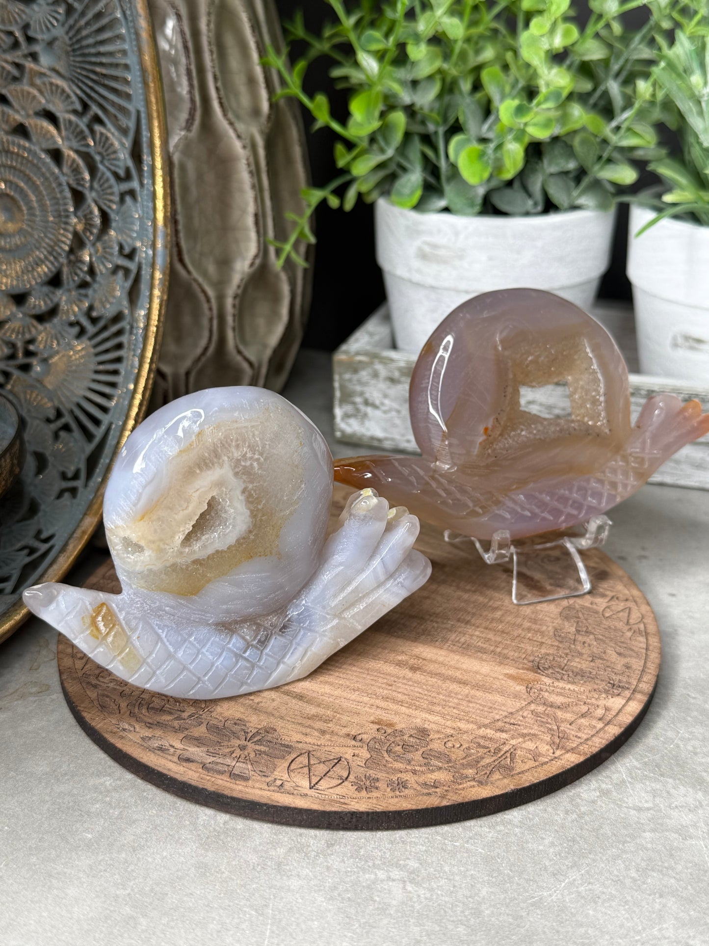 Druzy Agate Snails Crystal Carvings