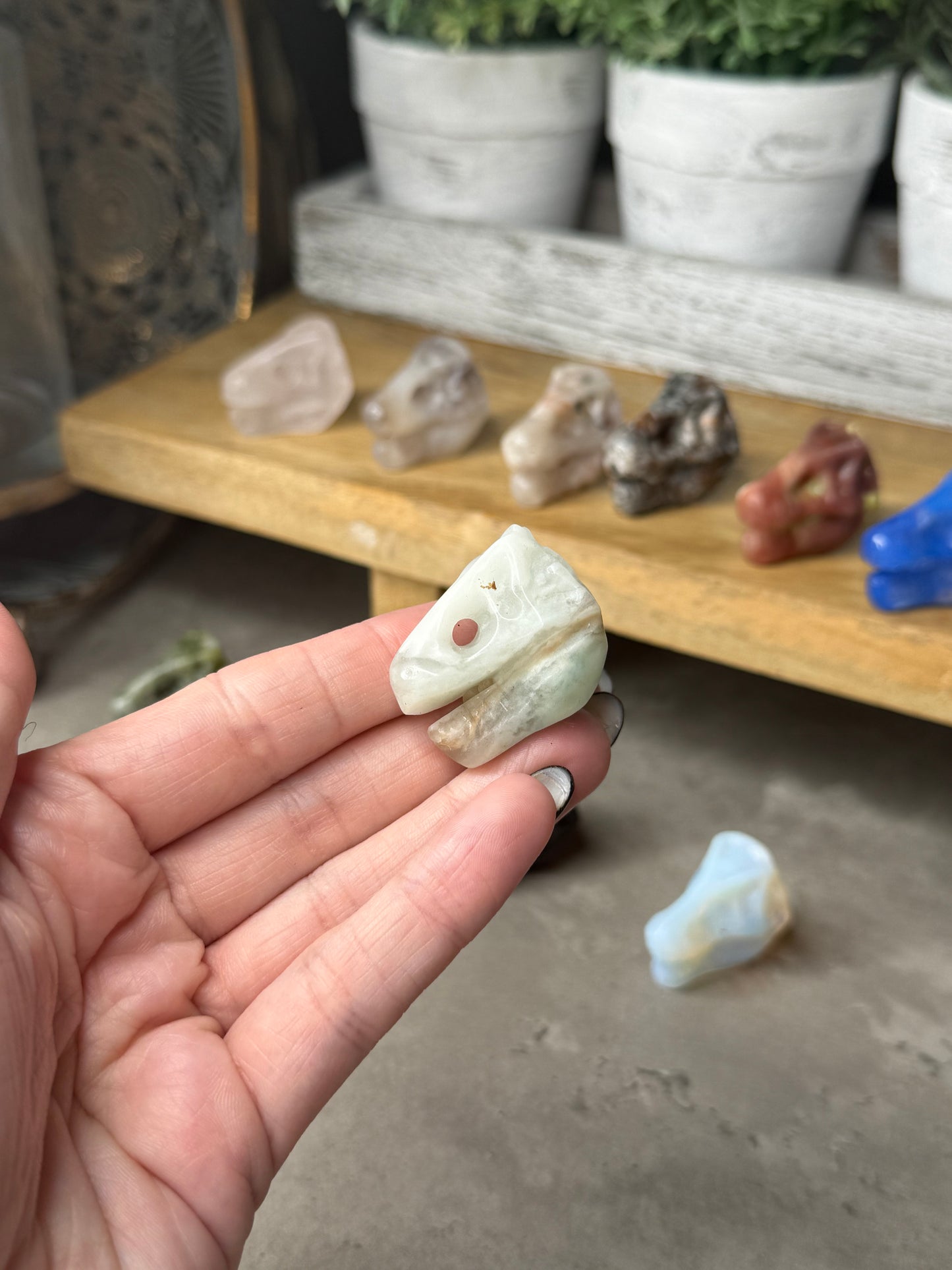 T Rex Dinosaur Head Mini Crystal Carvinf