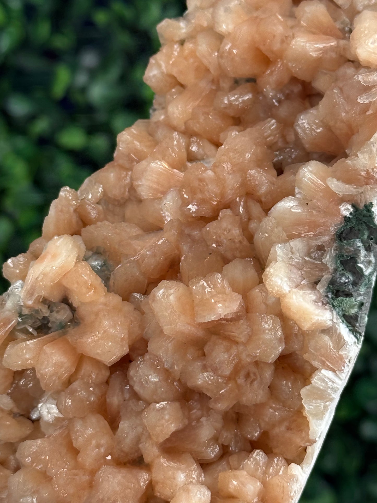 Peach Stilbite Crystal Specimen 372g