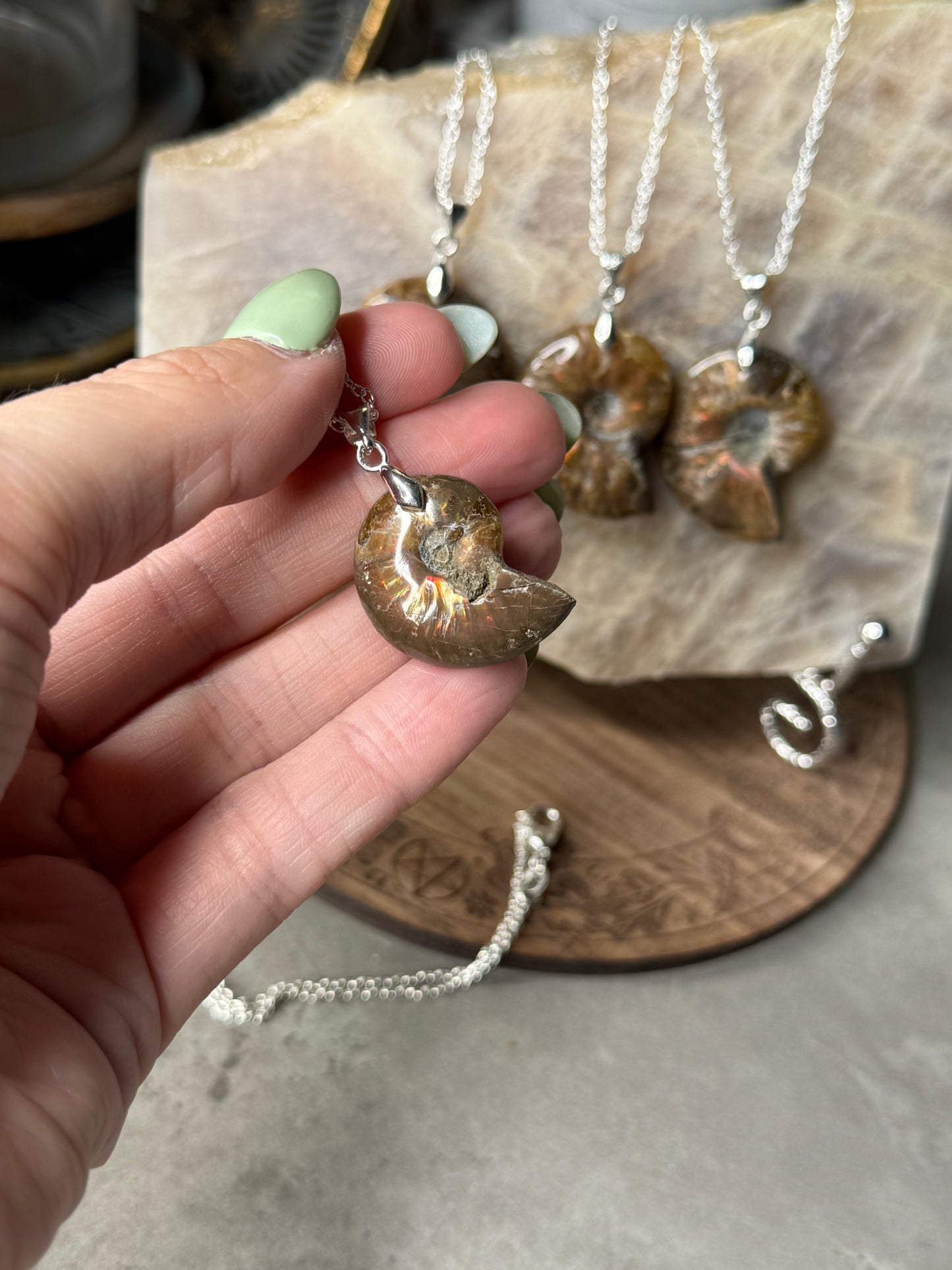 Ammonite Fossil Crystal Shell Pendant Necklaces