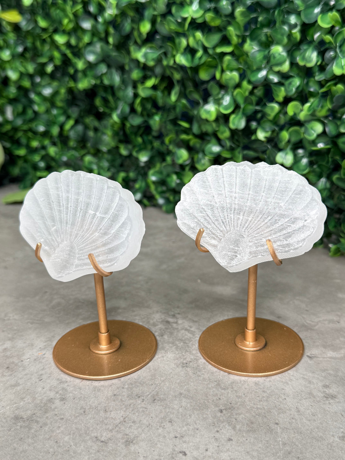 Satin Spar Selenite Shell Carving on Gold Stand