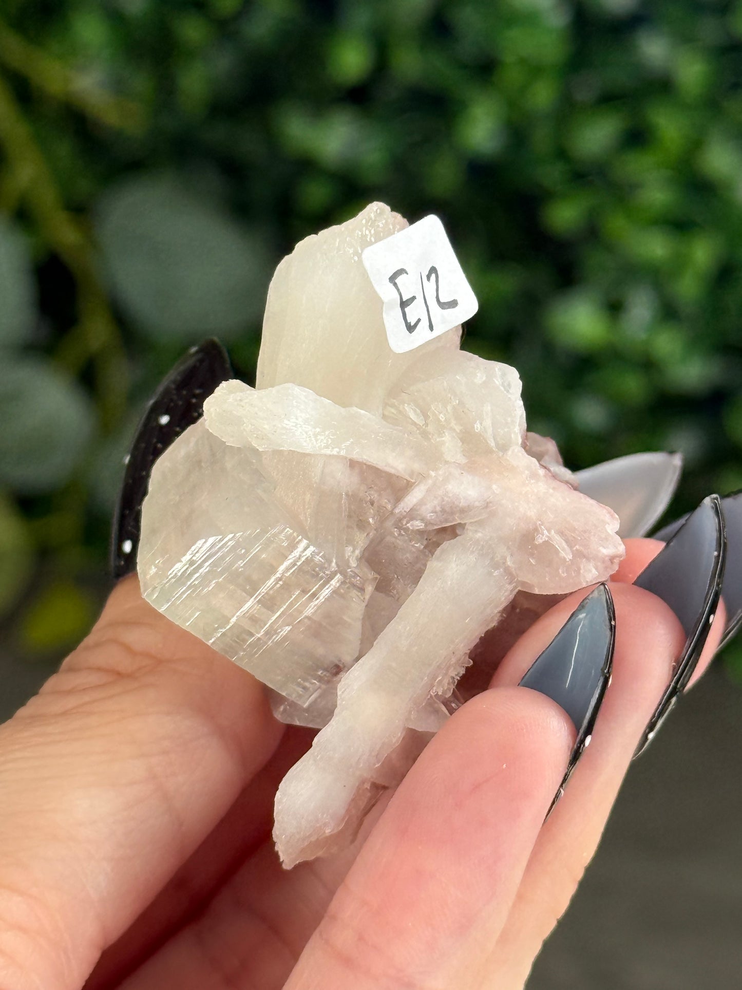 Pink & Green Apophyllite Specimens - E