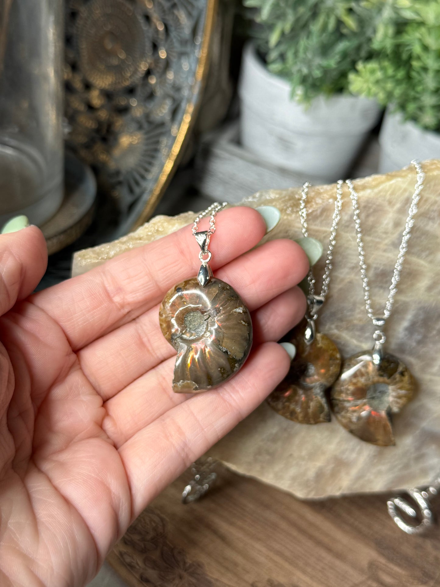 Ammonite Fossil Crystal Shell Pendant Necklaces