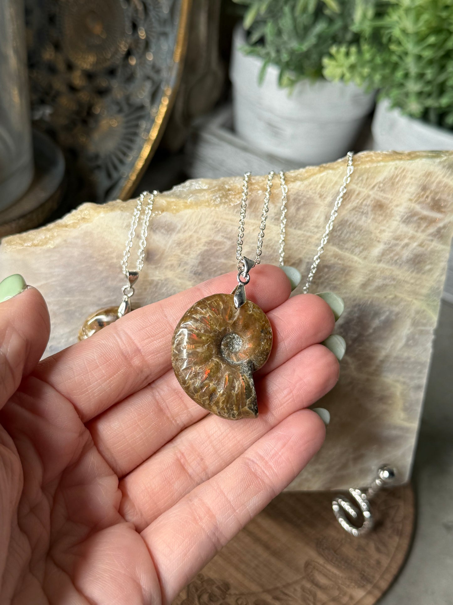 Ammonite Fossil Crystal Shell Pendant Necklaces
