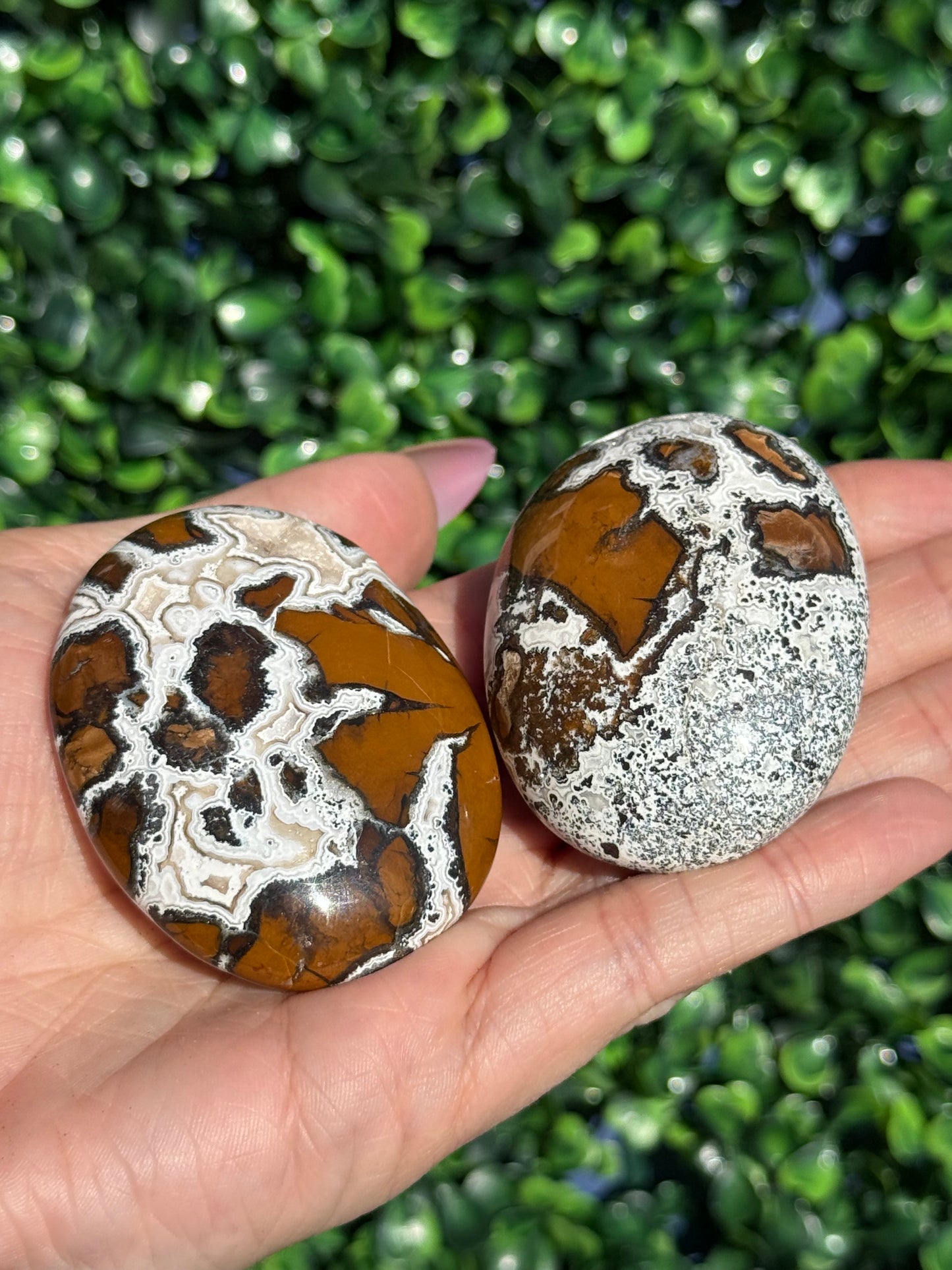 Brecciated Jasper Druzy Palmstones - Indonesia