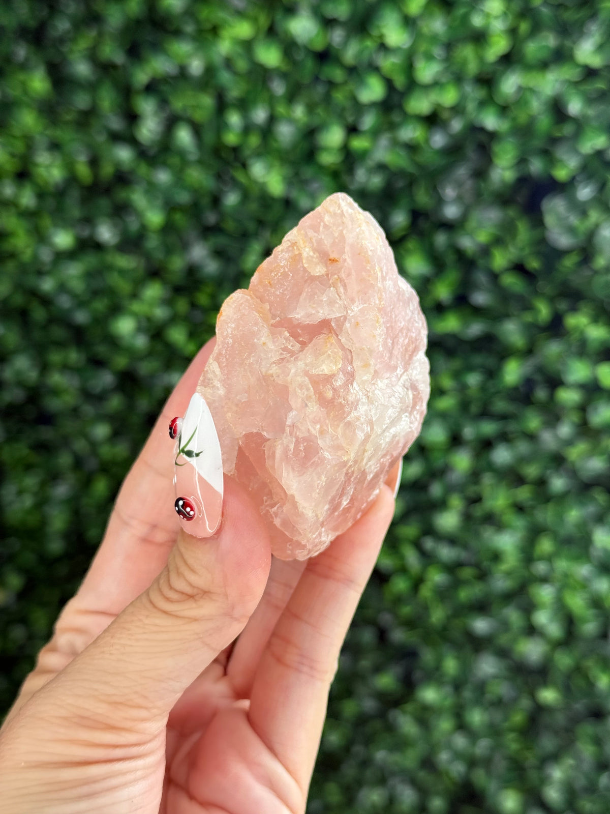 Raw Rose Quartz Crystal From Colorado USA J