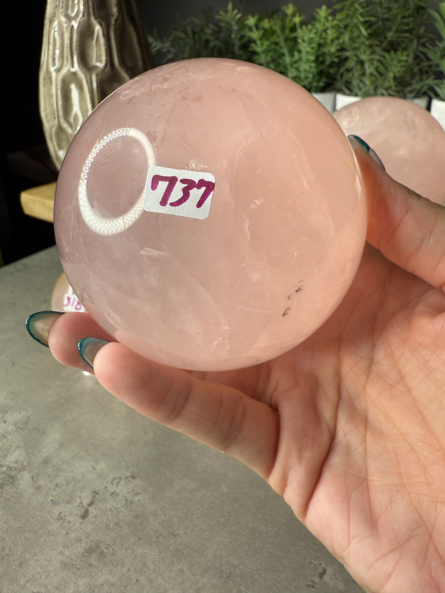Rose Quartz Crystal Spheres Dendritic