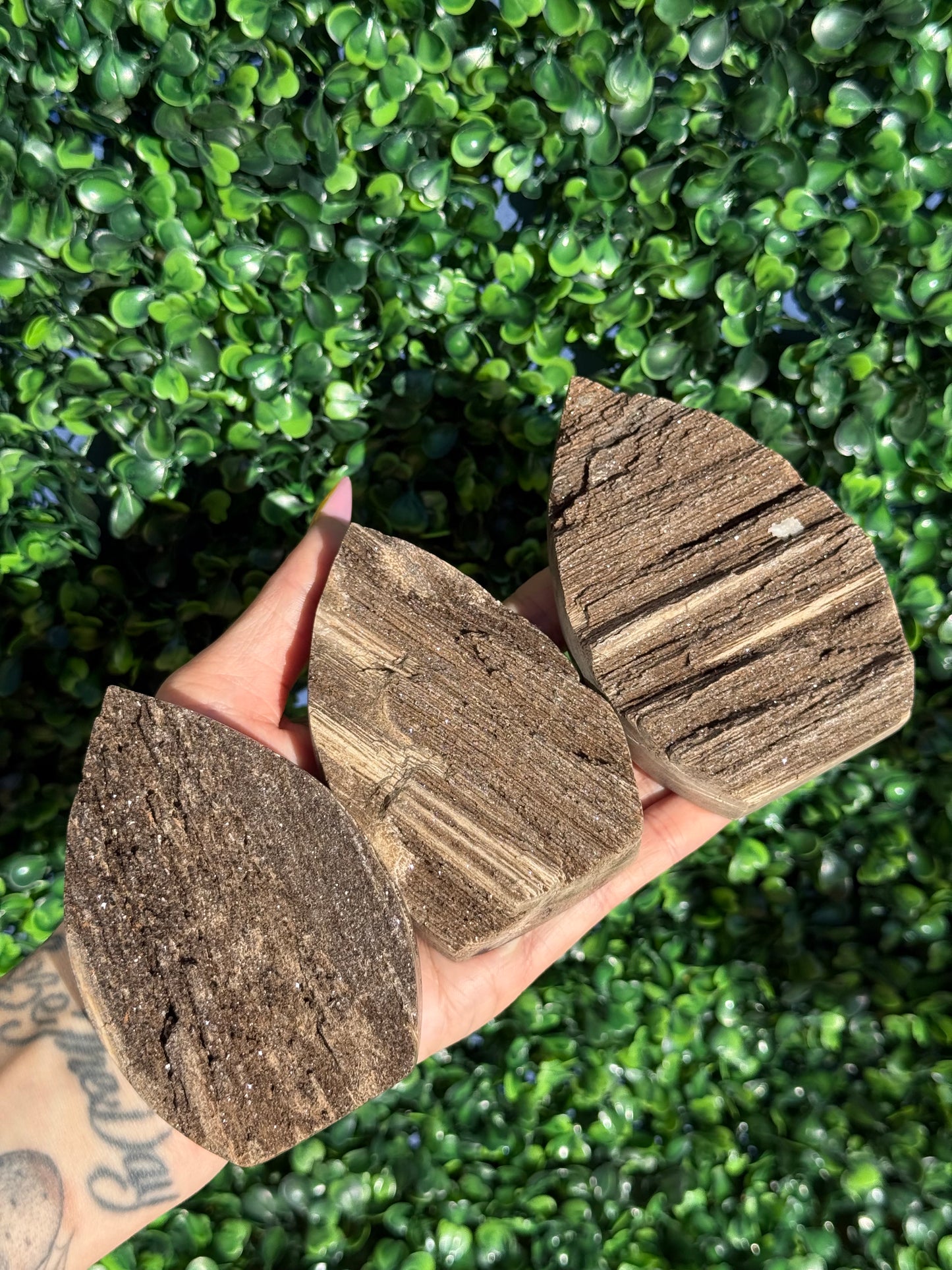 Sparkly Petrified Wood Teardrops - Indonesia