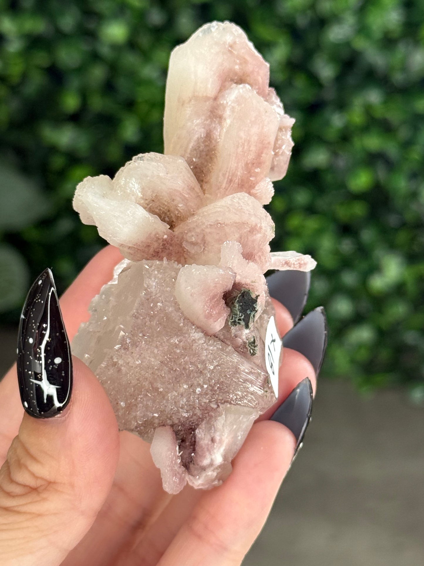 Pink & Green Apophyllite Specimens - X