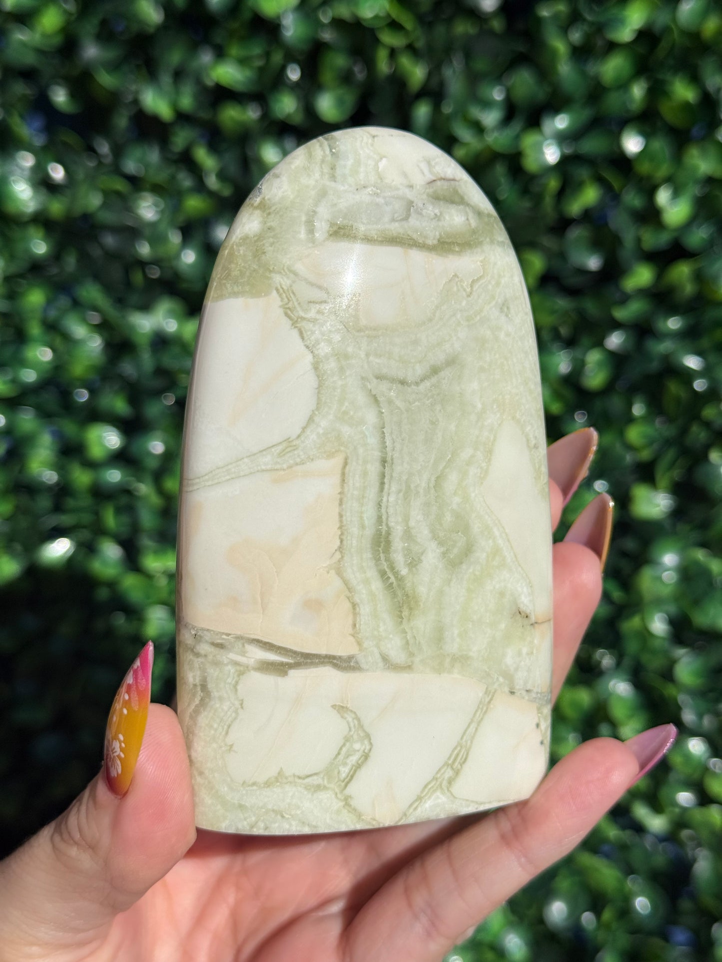 Green Maligano Jasper Crystal Freeforms - Indonesia