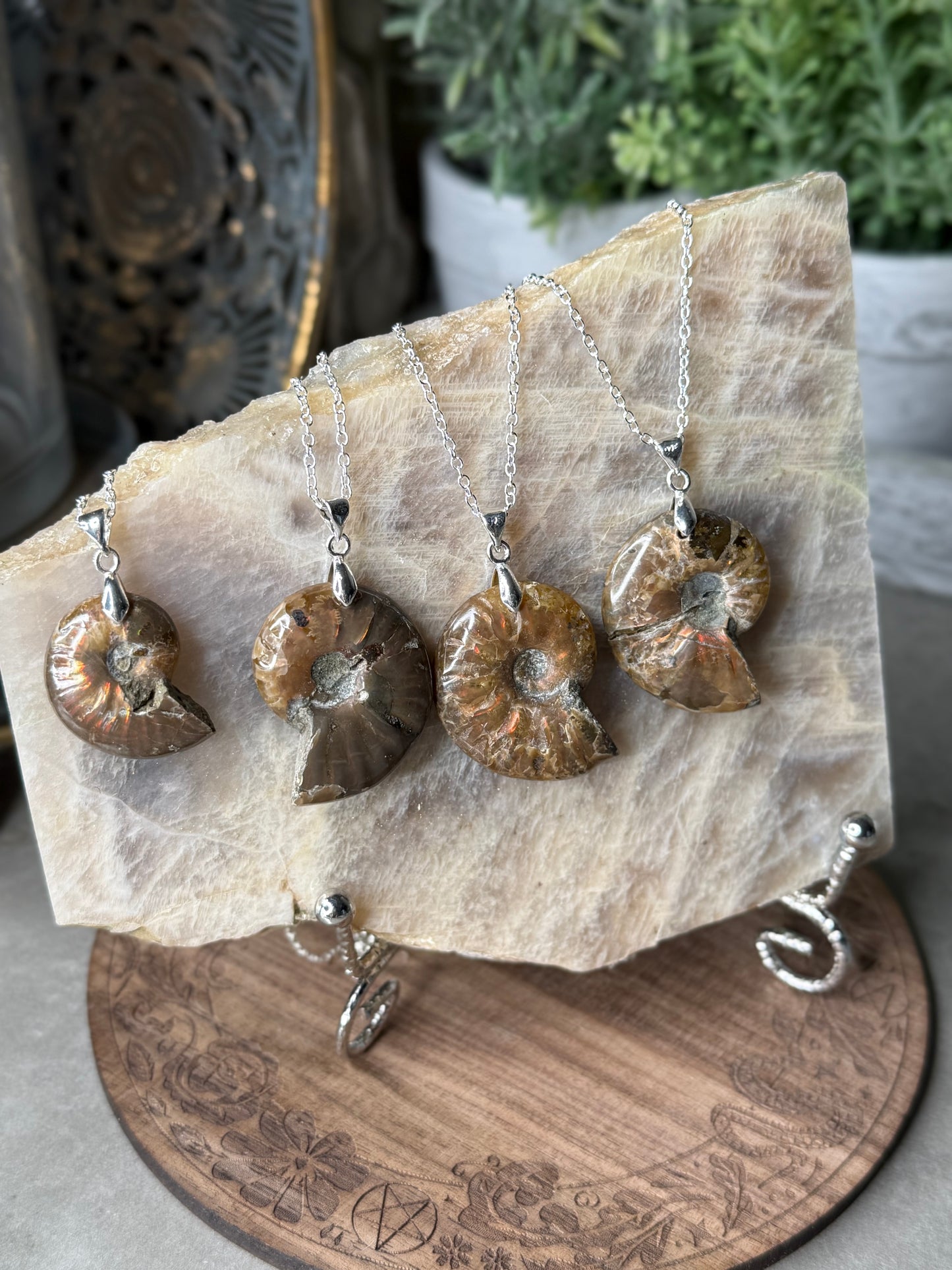 Ammonite Fossil Crystal Shell Pendant Necklaces