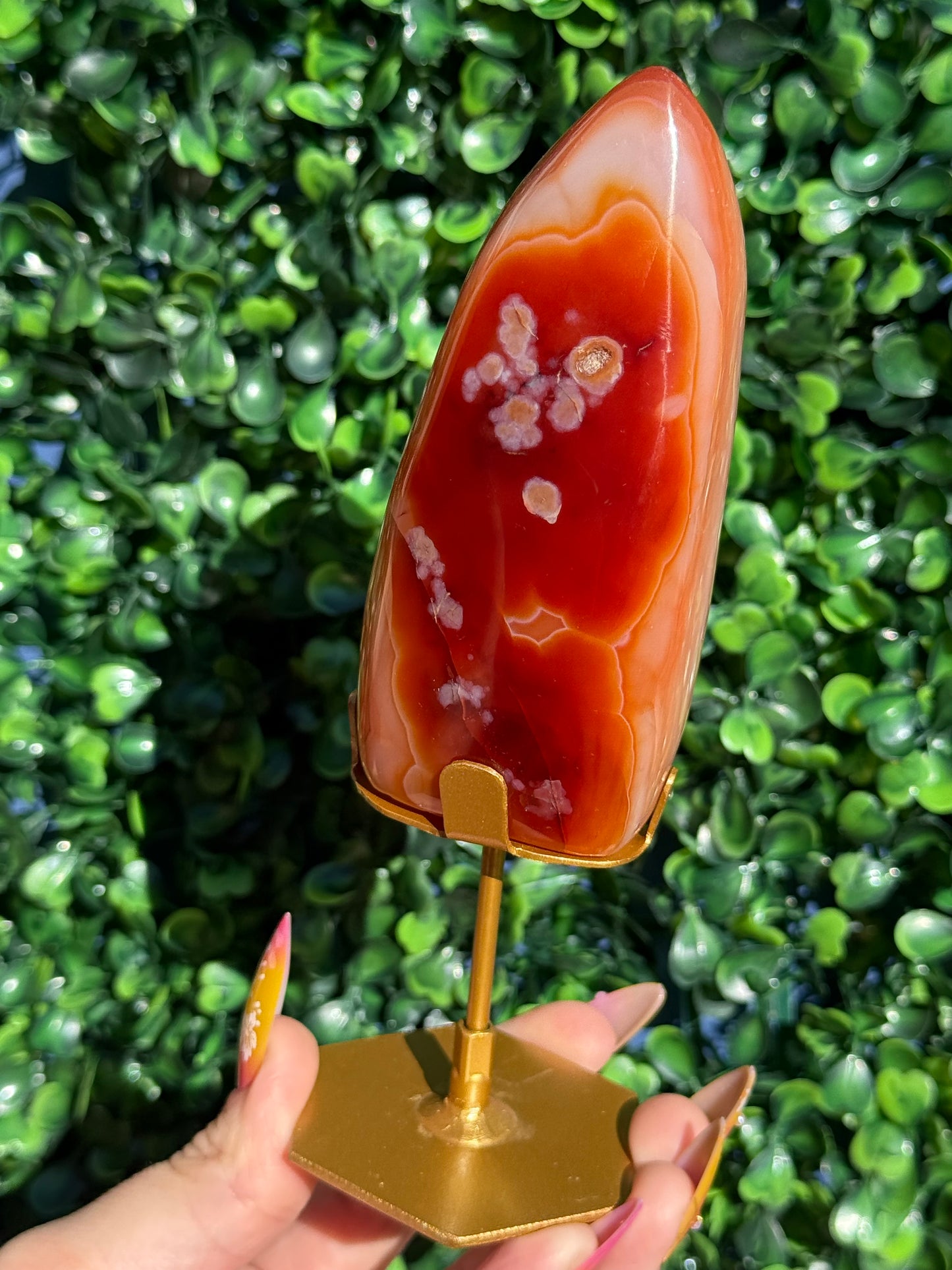Carnelian Freeform Crystal Carvings - Indonesia