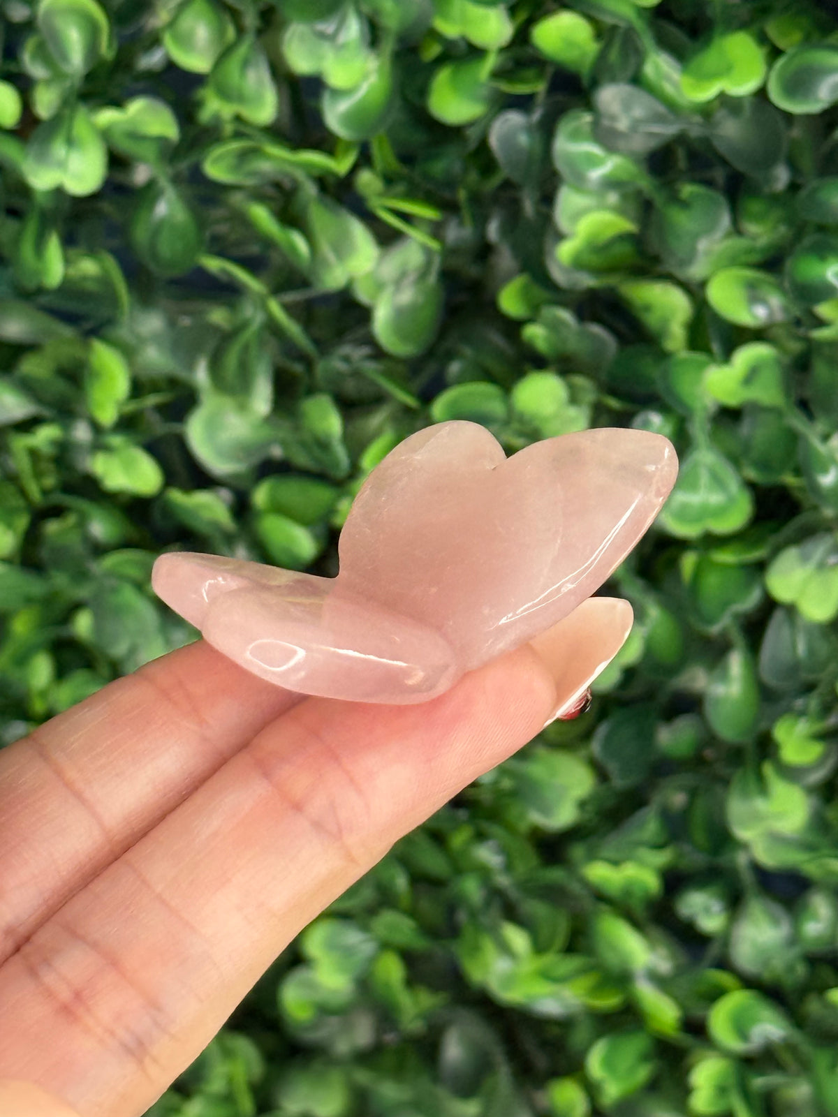 Small Rose Quartz Mini Butterfly Crystal Carvings