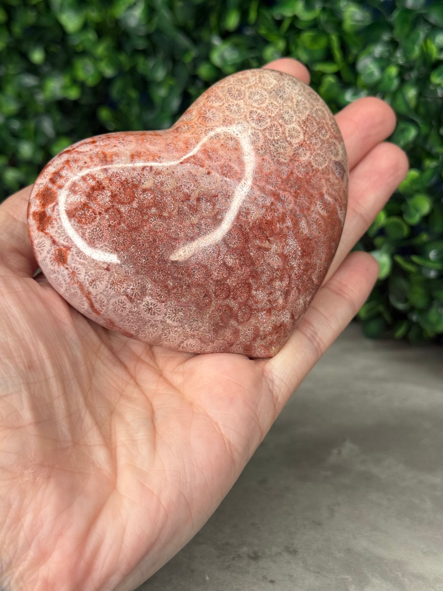 Pink Fossil Coral Crystal Heart - Indonesia