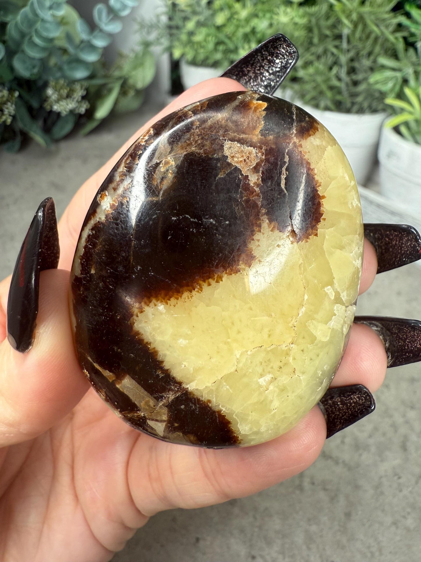 Septarian Dragon Stone Crystal Carving heart and Palmstones
