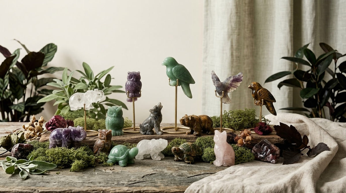 Animals