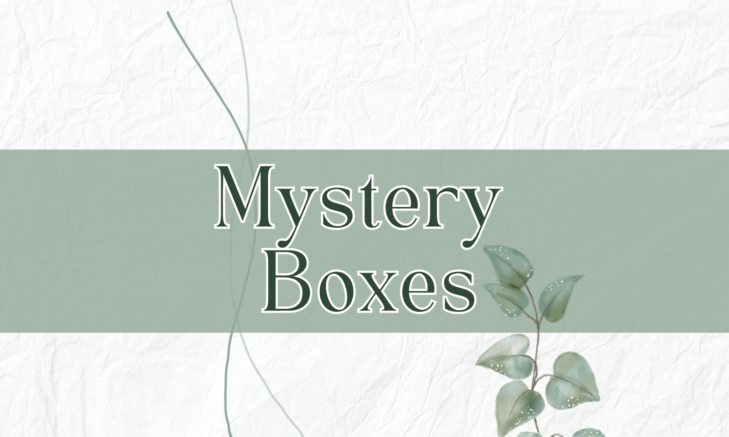 Wellness and Mystery Boxes