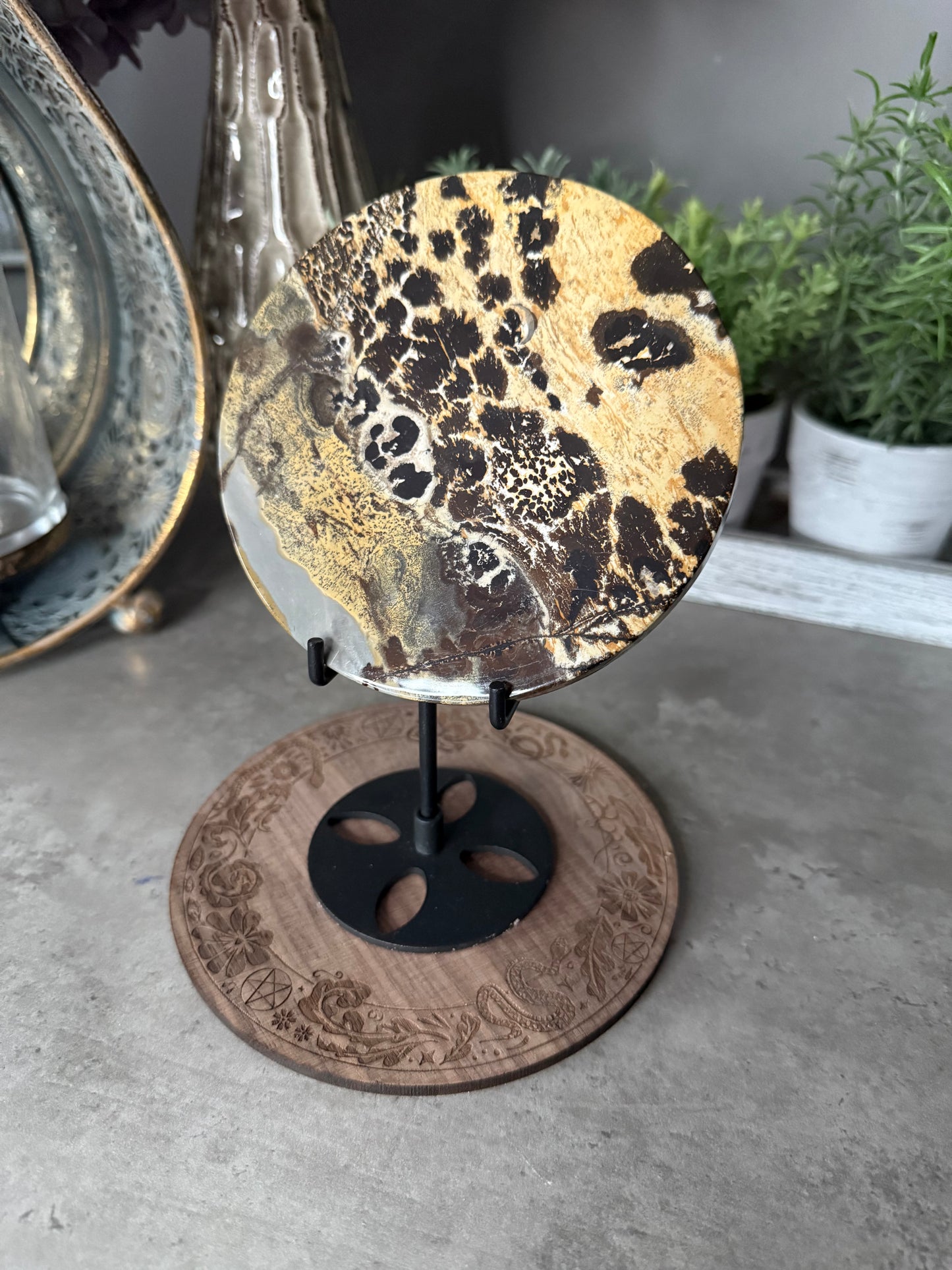 Picture Jasper Large Crystal Discs with Stands