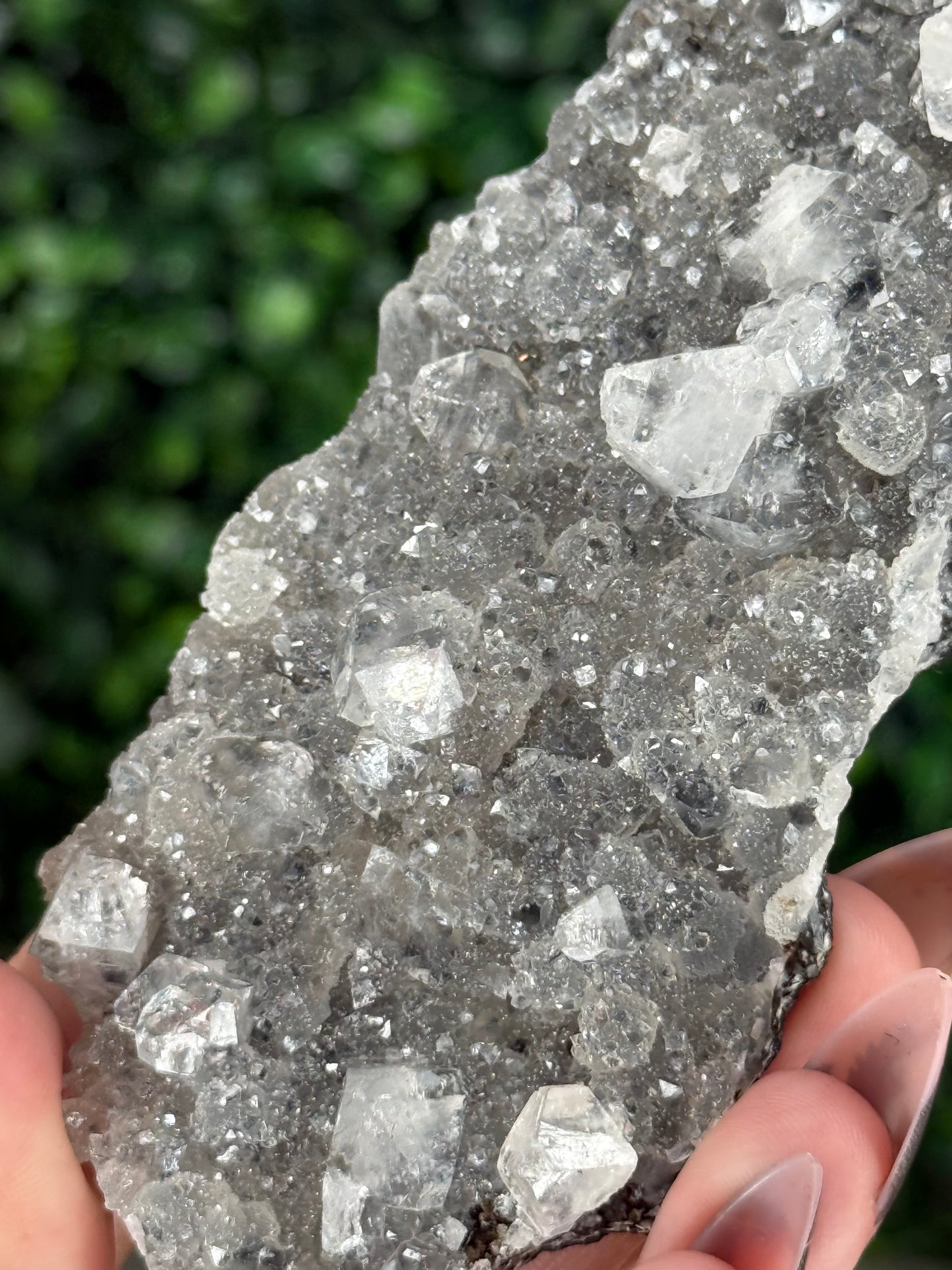 Black Chalcedony with Apophyllite M