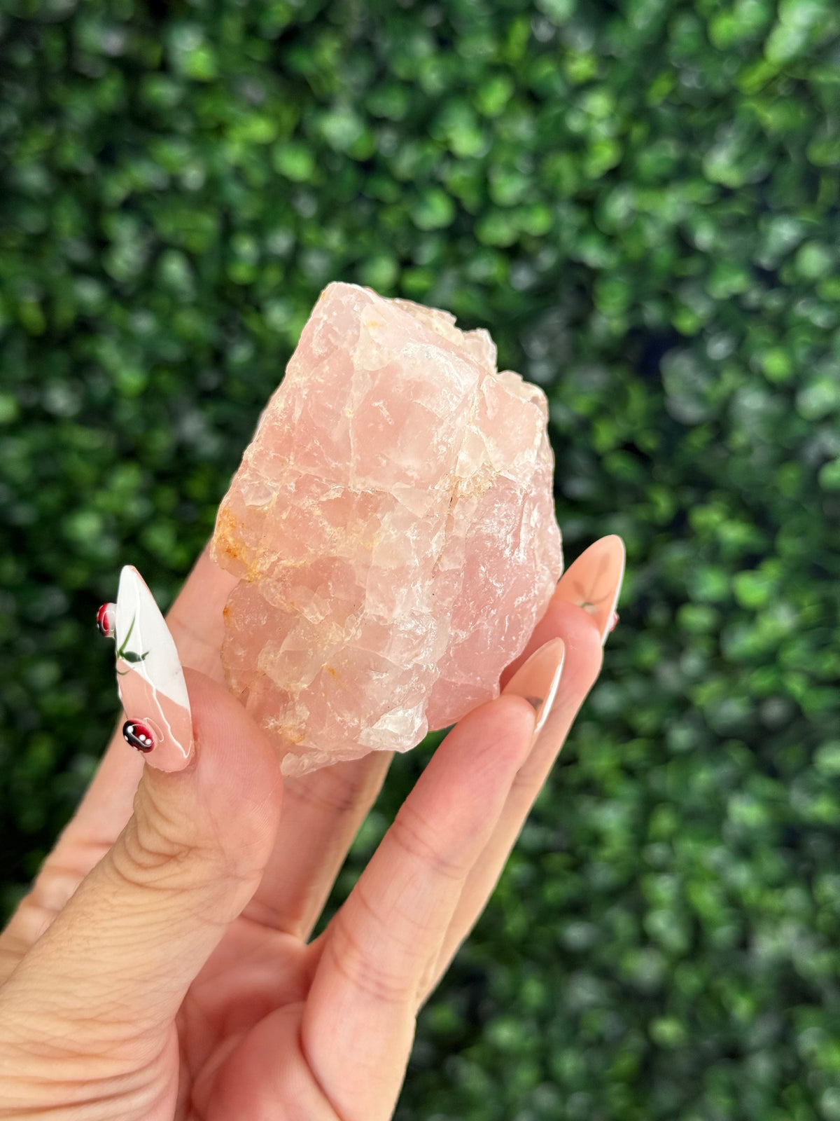 Raw Rose Quartz Crystal From Colorado USA J