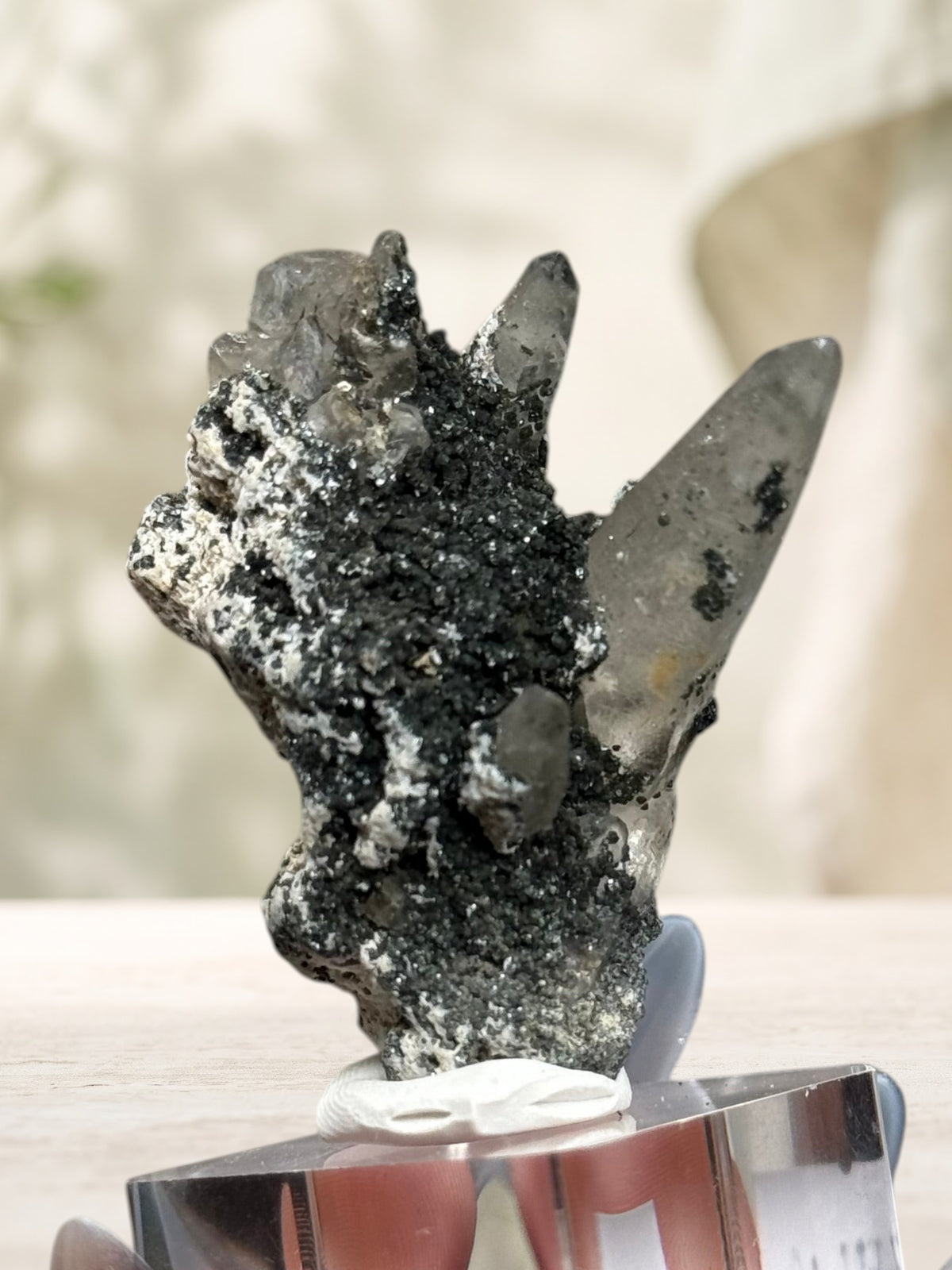 Crystal Glade laser quartz specimen from Pakistan with tapering crystal points and dark matrix on a display stand.