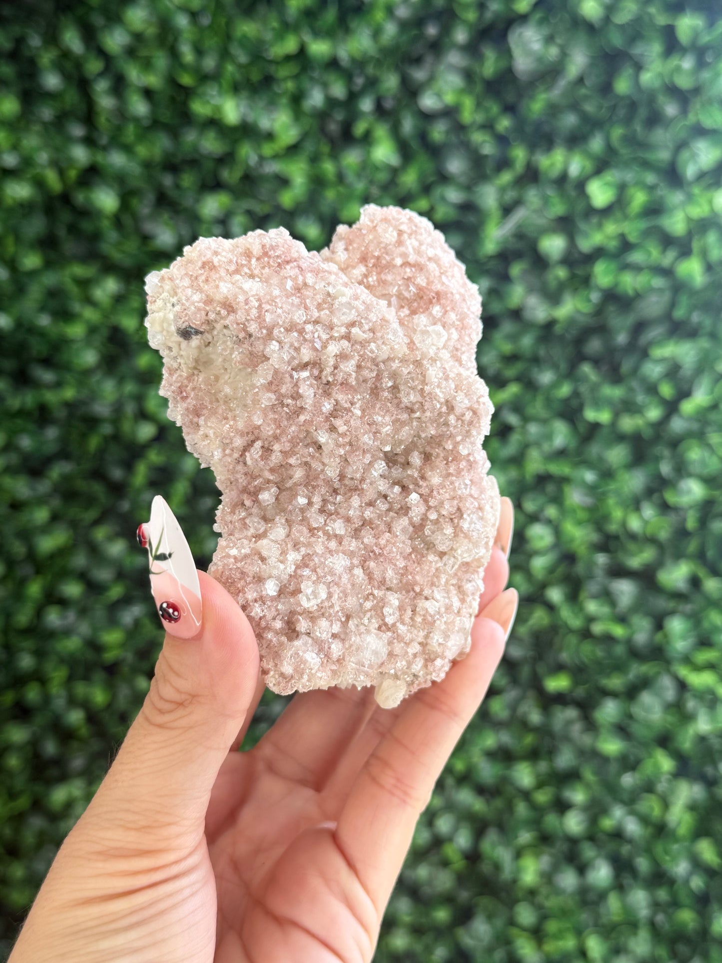 Pink Apophyllite Cluster Specimen Crystal from India 260g