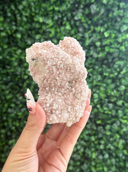 Pink Apophyllite Cluster Specimen Crystal from India 260g