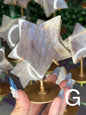 Moonstone Star Carving with Gold Stand – Choose Your Piece (60g–119g)