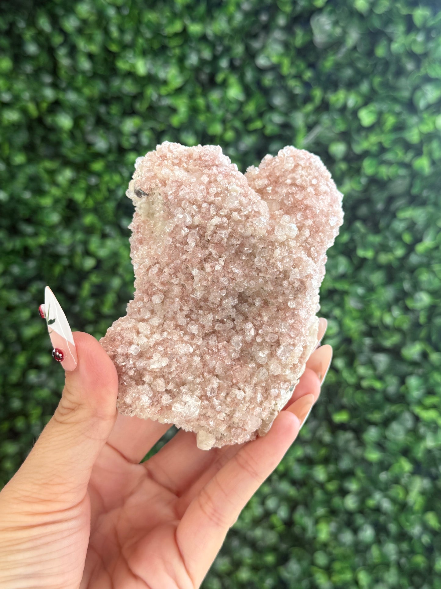 Pink Apophyllite Cluster Specimen Crystal from India 260g