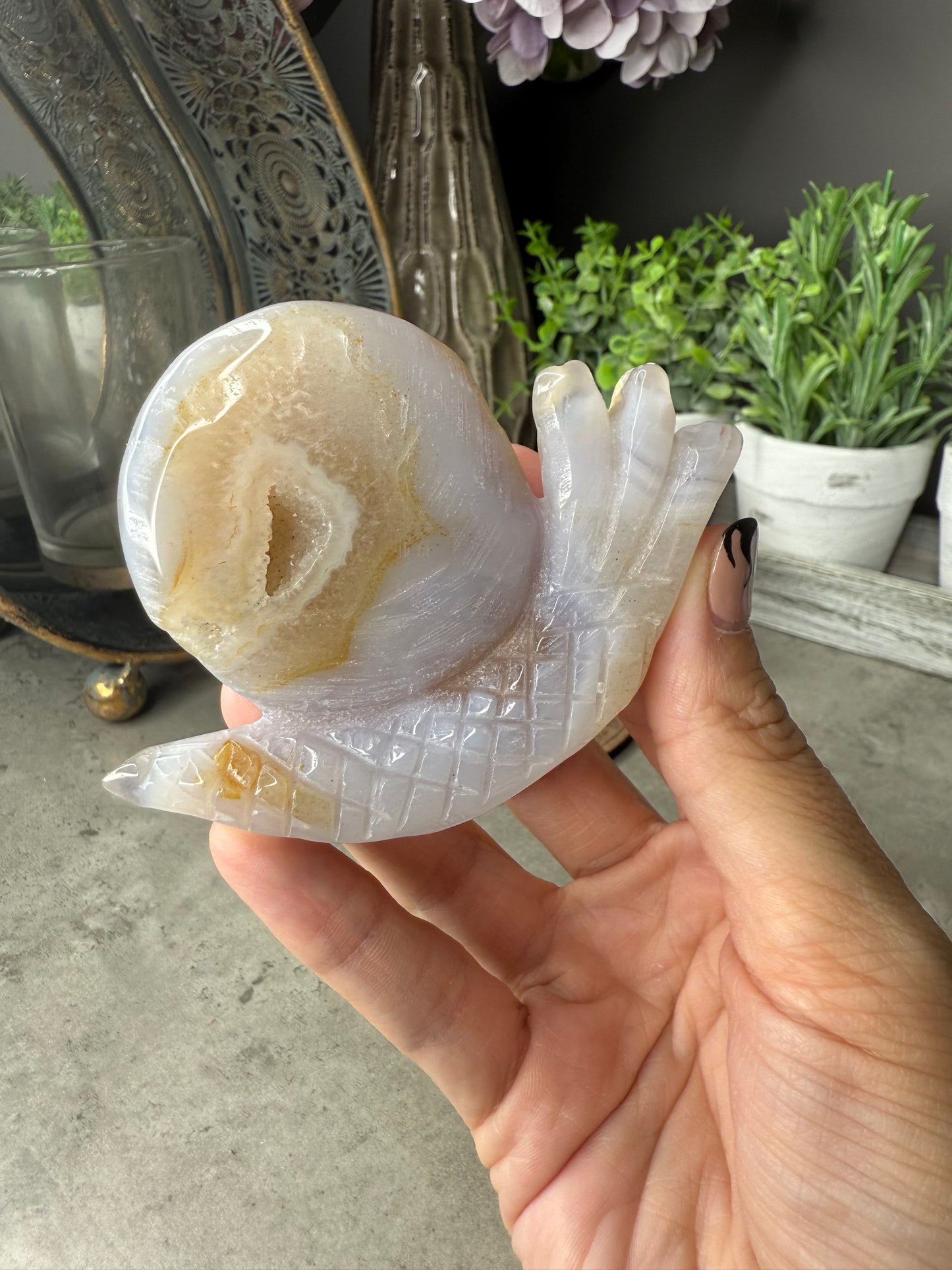 Druzy Agate Snails Crystal Carvings