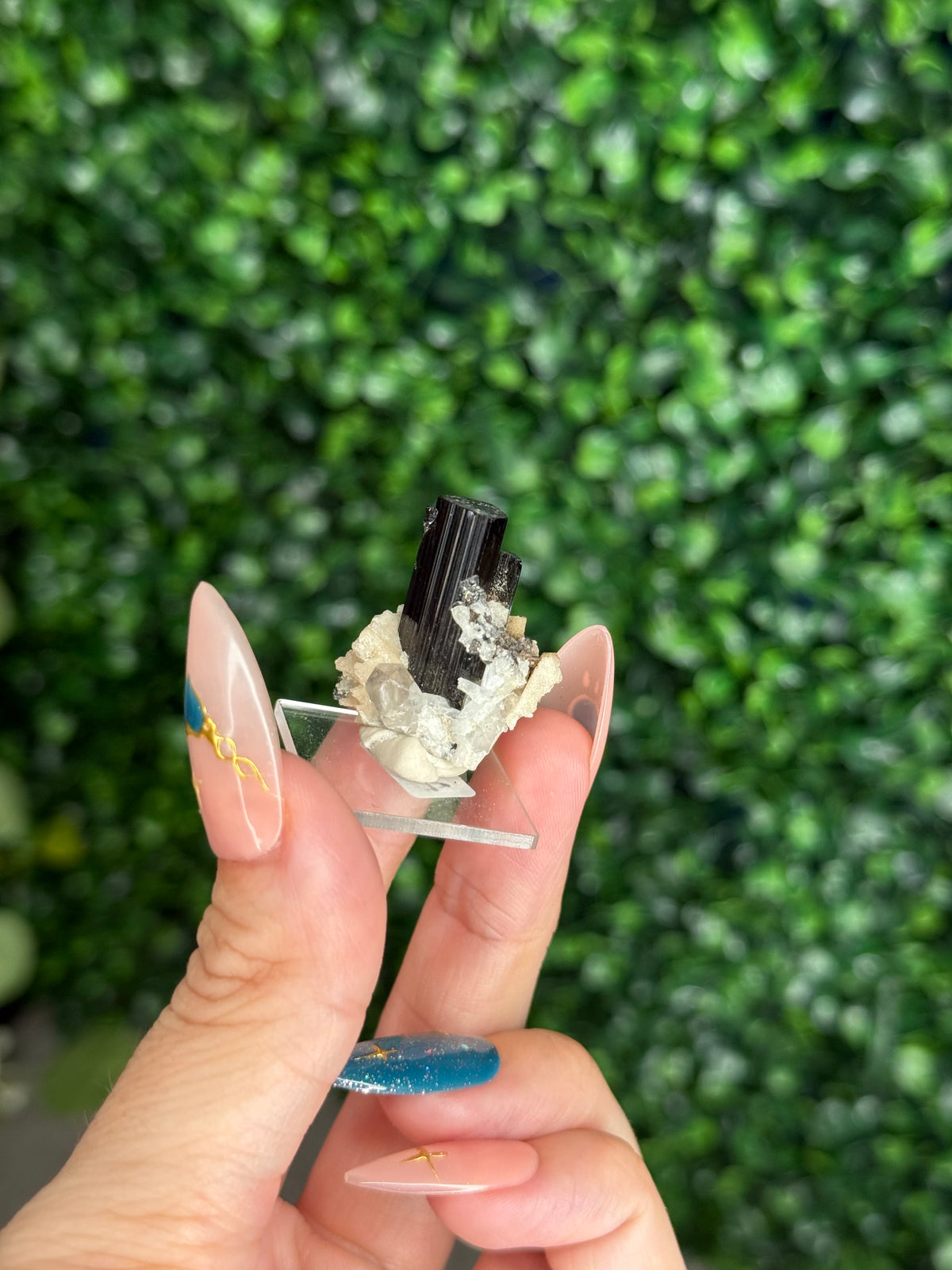 Black Tourmaline (Schorl) Specimen with Albite & Quartz — Skardu Valley, Pakistan - A