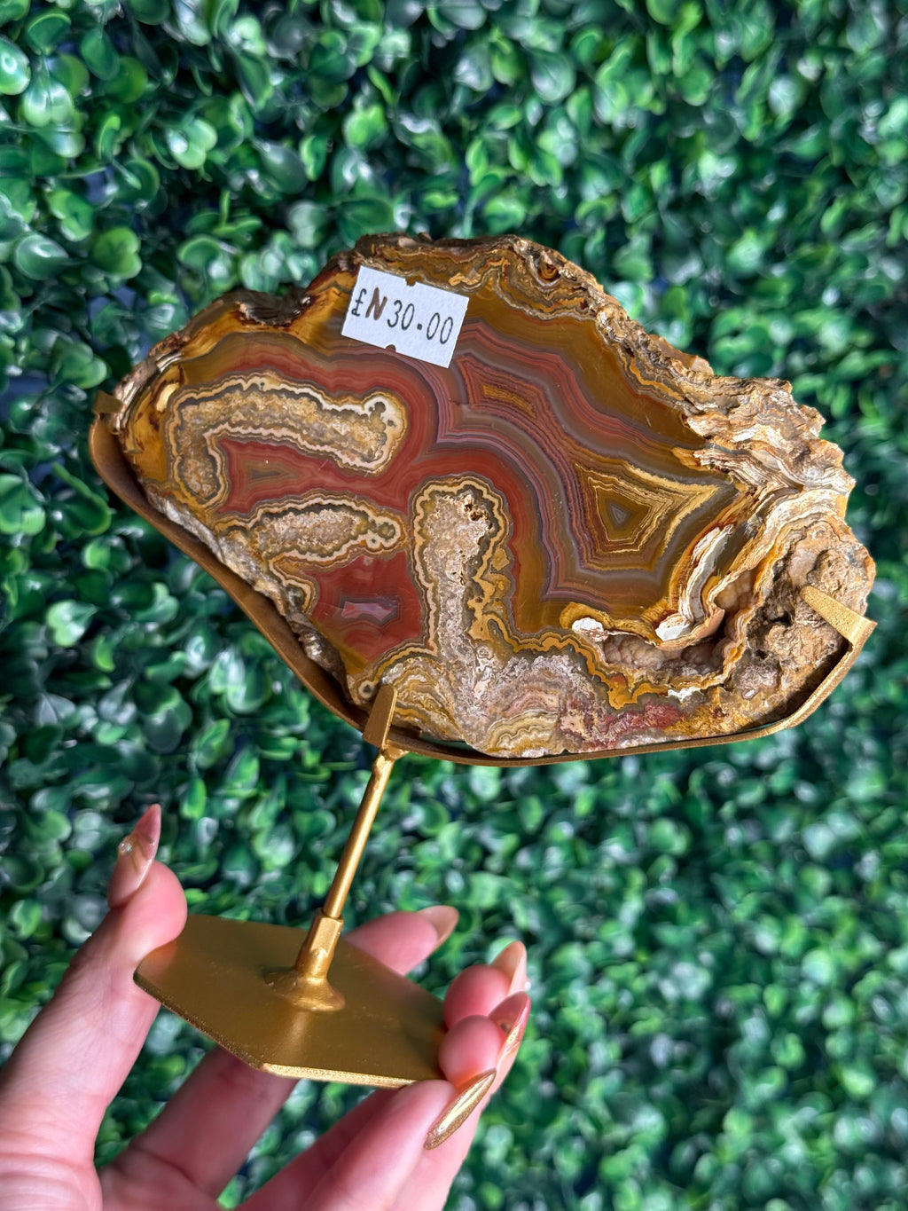 Colourful Crazy Lace Agate Slab from Indonesia - N