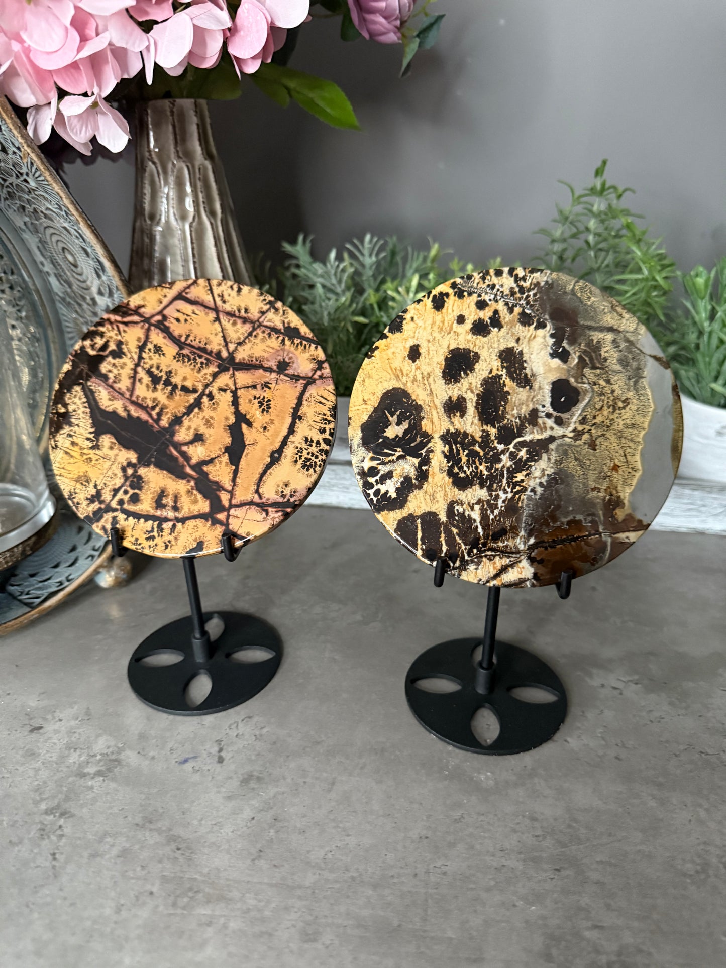 Picture Jasper Large Crystal Discs with Stands