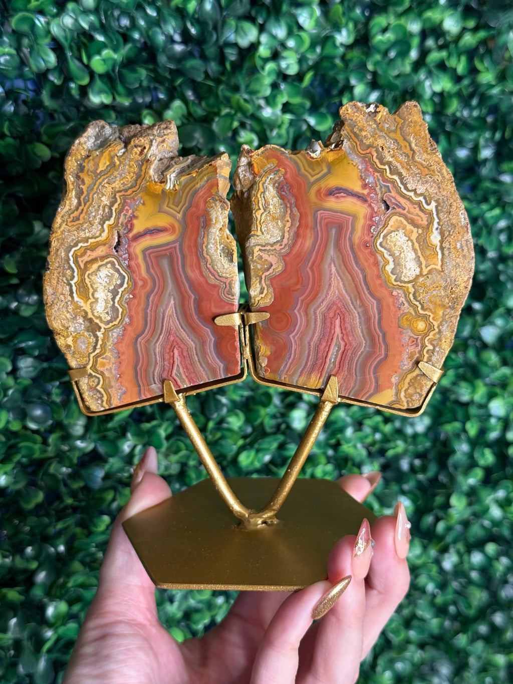 Colourful Crazy Lace Agate Slab Pair from Indonesia - L