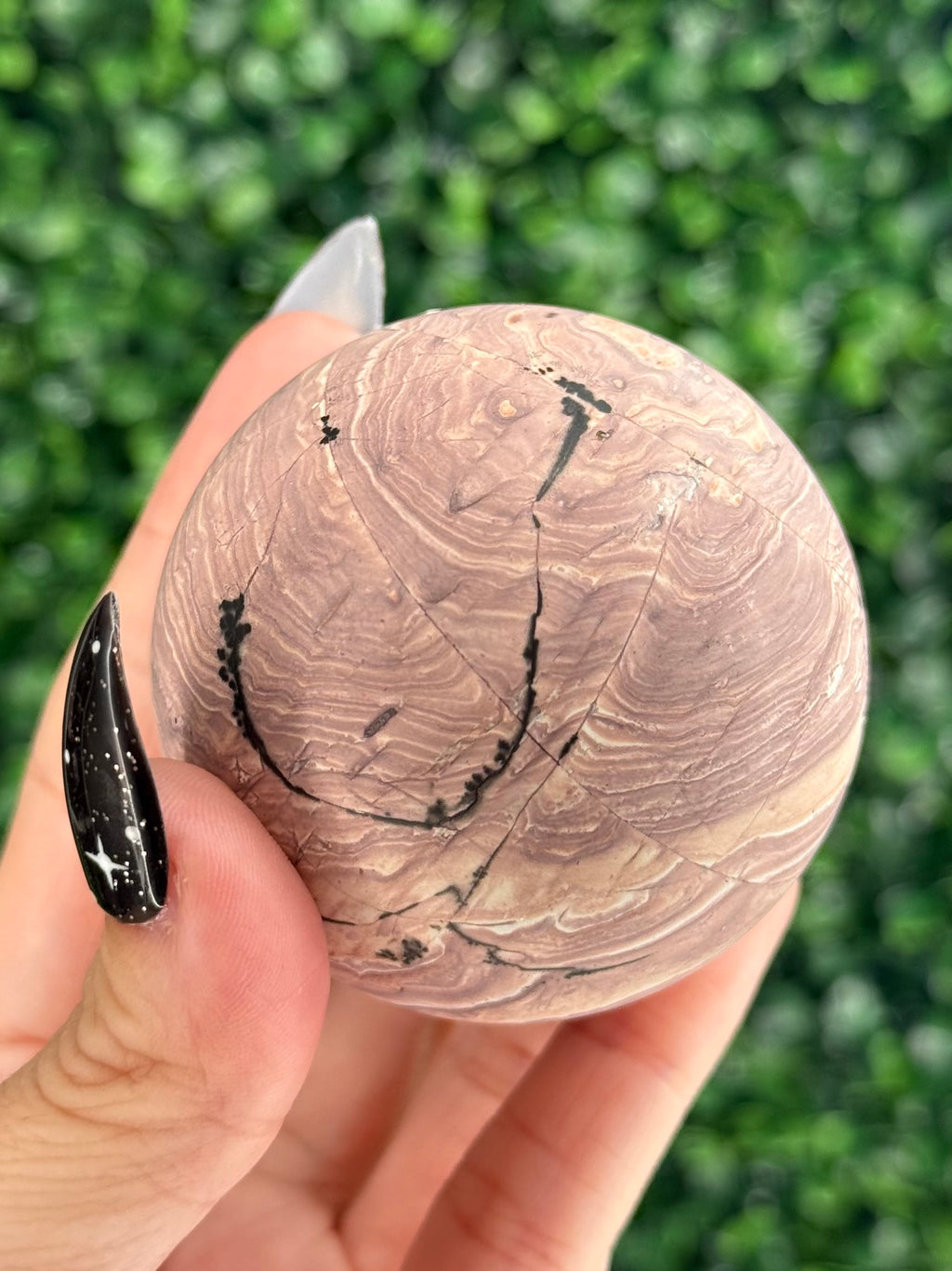Pink Picture Jasper Spheres F