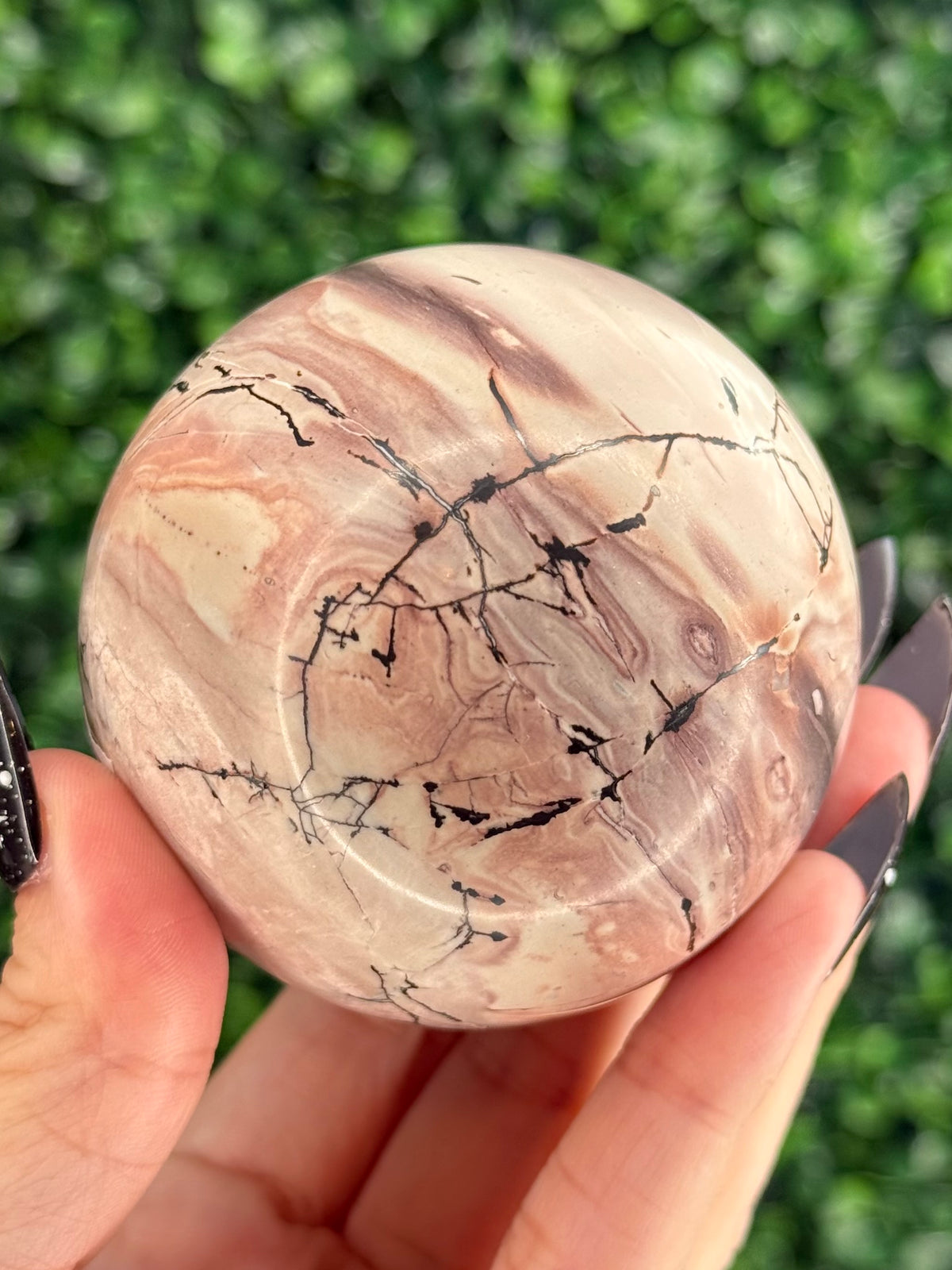 Pink Picture Jasper Spheres G