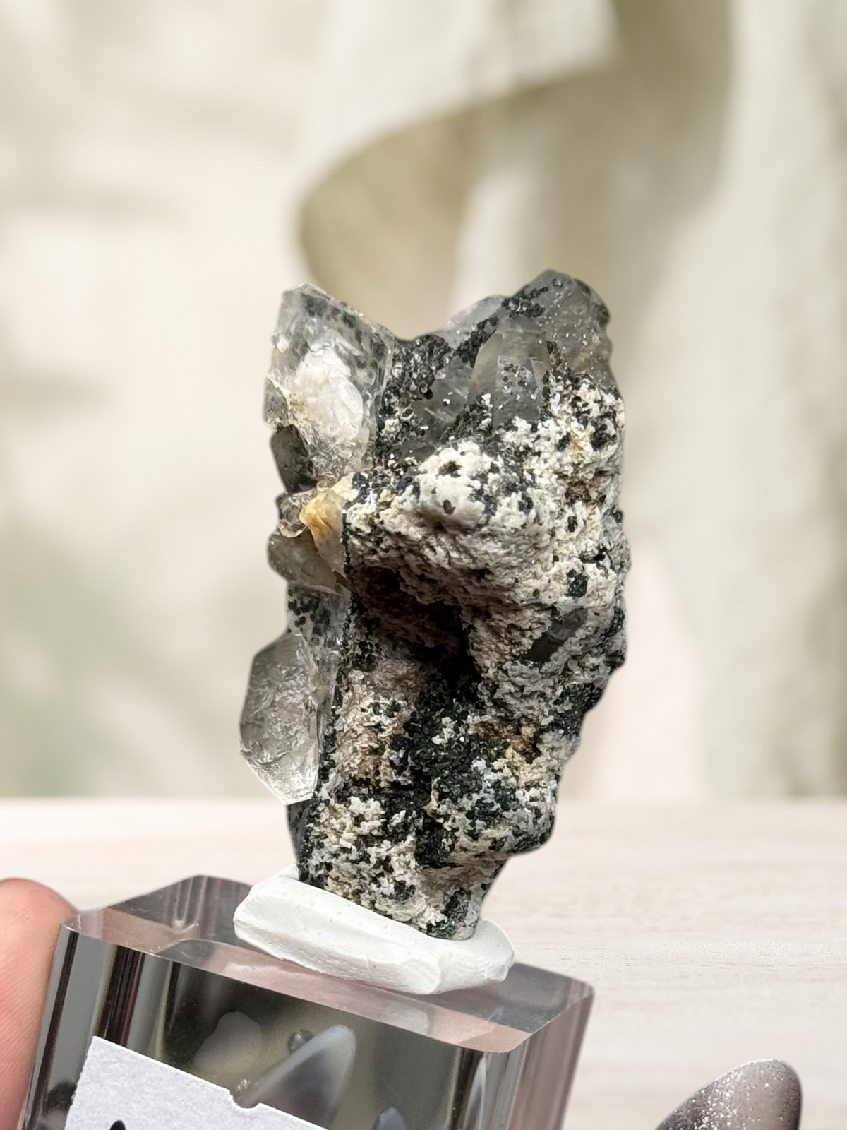 Crystal Glade natural laser quartz specimen from Balochistan with clear tapering crystal points on a dark matrix base