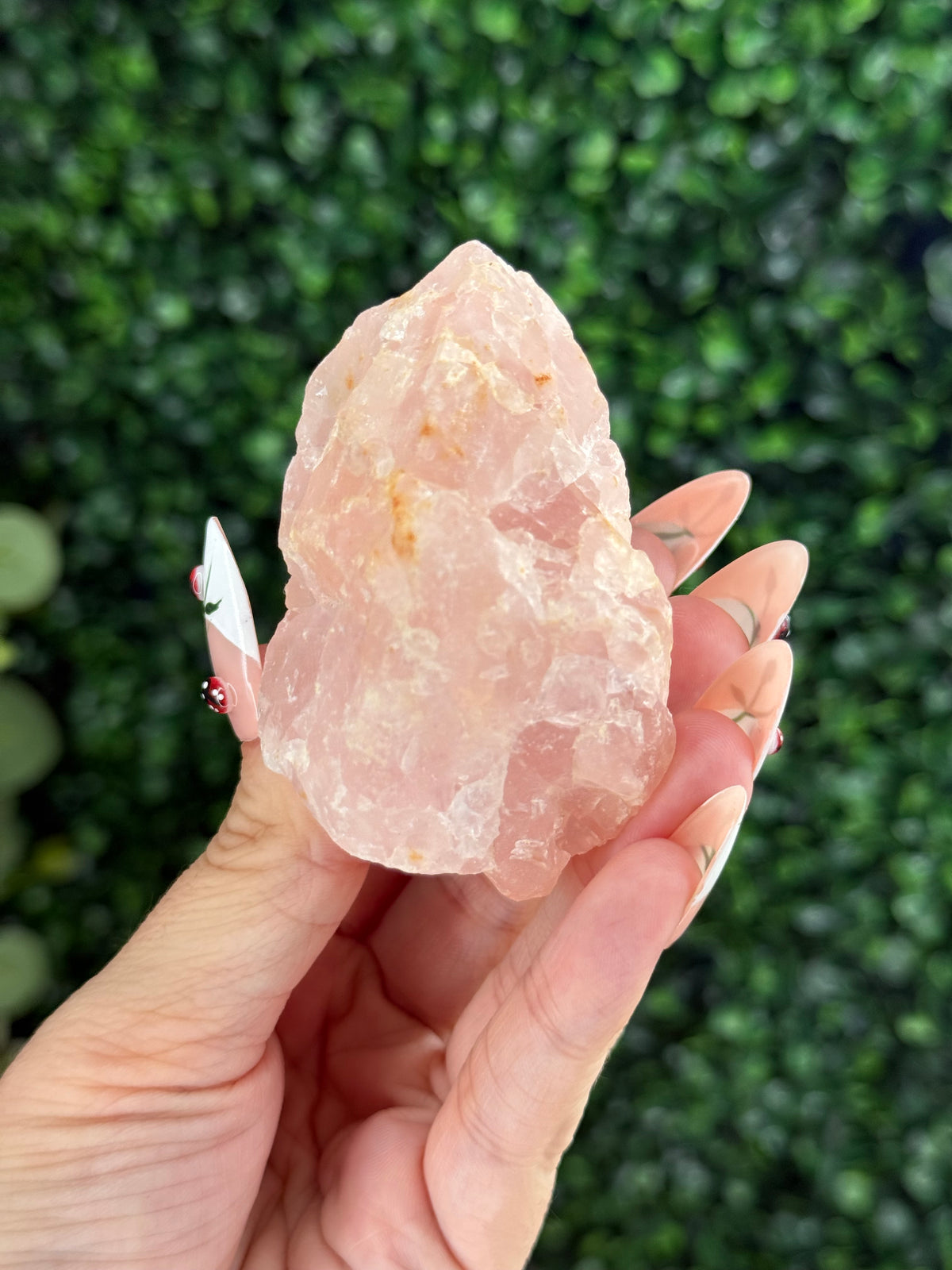 Raw Rose Quartz Crystal From Colorado USA J