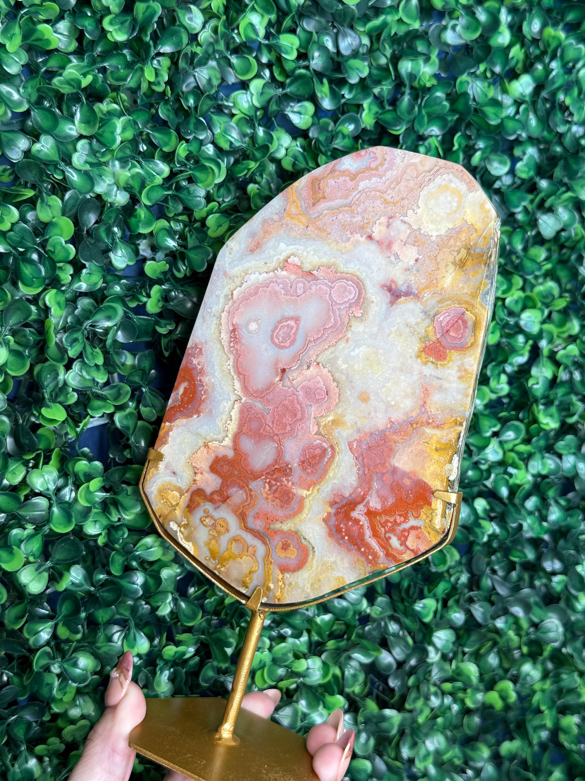 Colourful Crazy Lace Agate Slab from Indonesia F