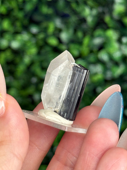 Black Tourmaline with Quartz Specimen — Skardu Valley, Pakistan J