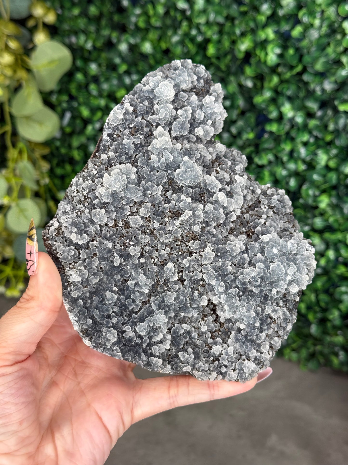Black Chalcedony Crystal Specimen P