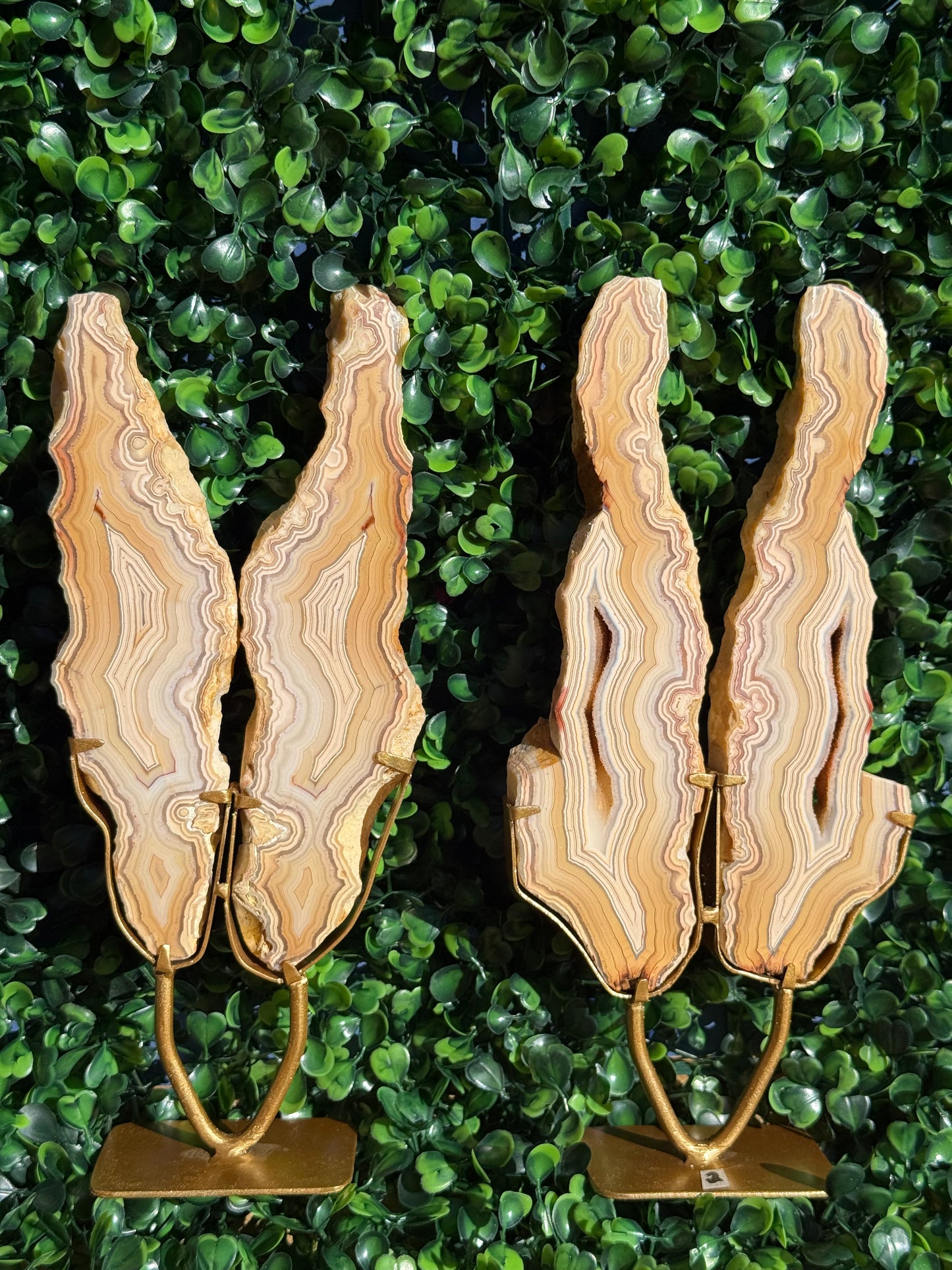 Yellow Crazy Lace Agate Druzy Wings Crystal Carving - Indonesia