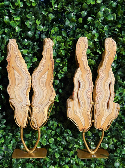 Yellow Crazy Lace Agate Druzy Wings Crystal Carving - Indonesia