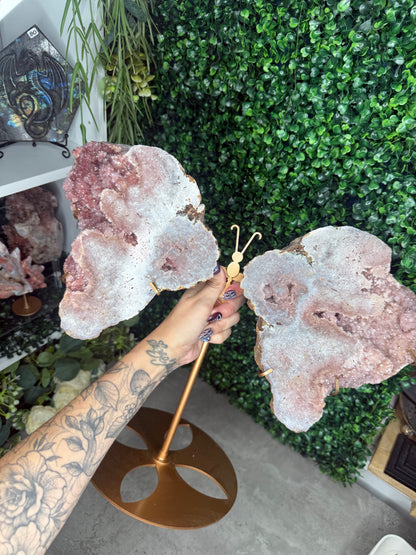 3.5kg XL Pink Amethyst Geode Butterfly Winds Crystal Carving - Brazil