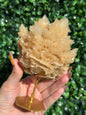 Yellow Calcite Large Specimen with Gold Stand - Indonesia