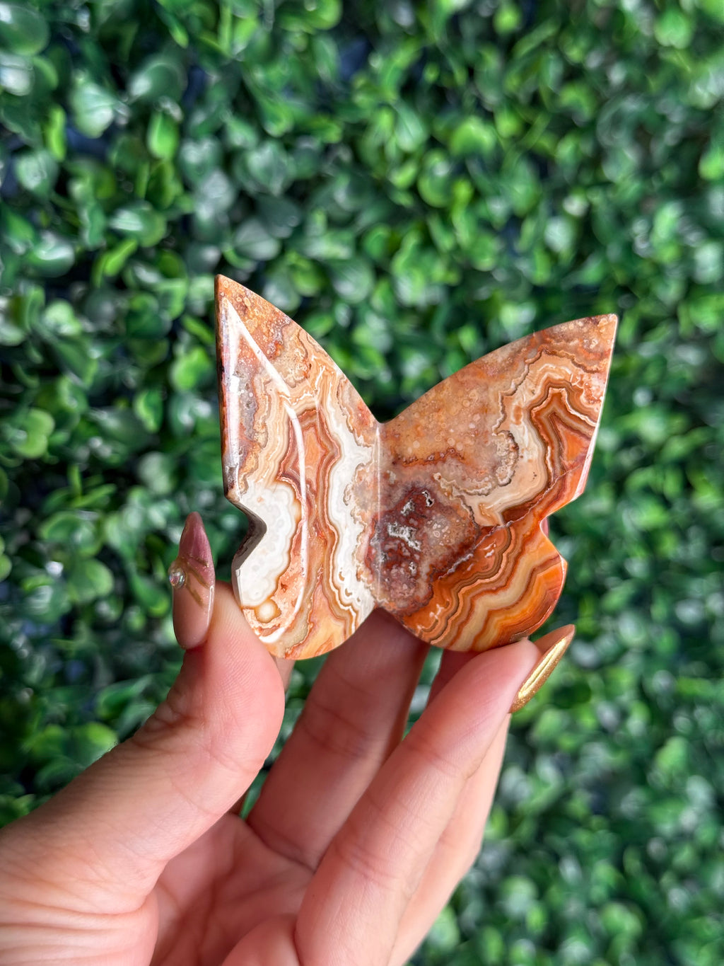 Crazy Lace Agate 3D Butterfly Crystal Carving from Indonesia B