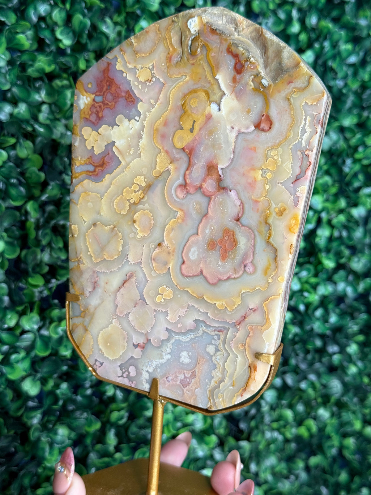 Colourful Crazy Lace Agate Slab from Indonesia E