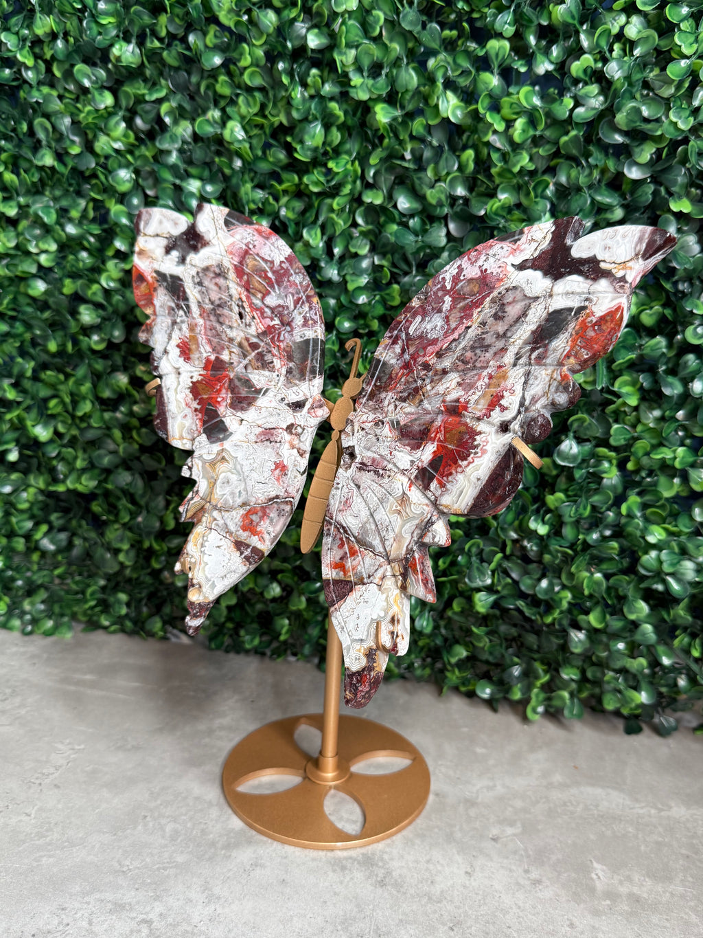 Mexican Lace Agate XL Butterfly Wings Crystal Carvings