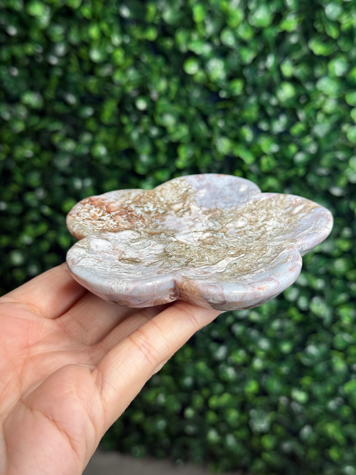 Pink & Purple Petrified Wood Bowl Trays Crystal Carvings - D